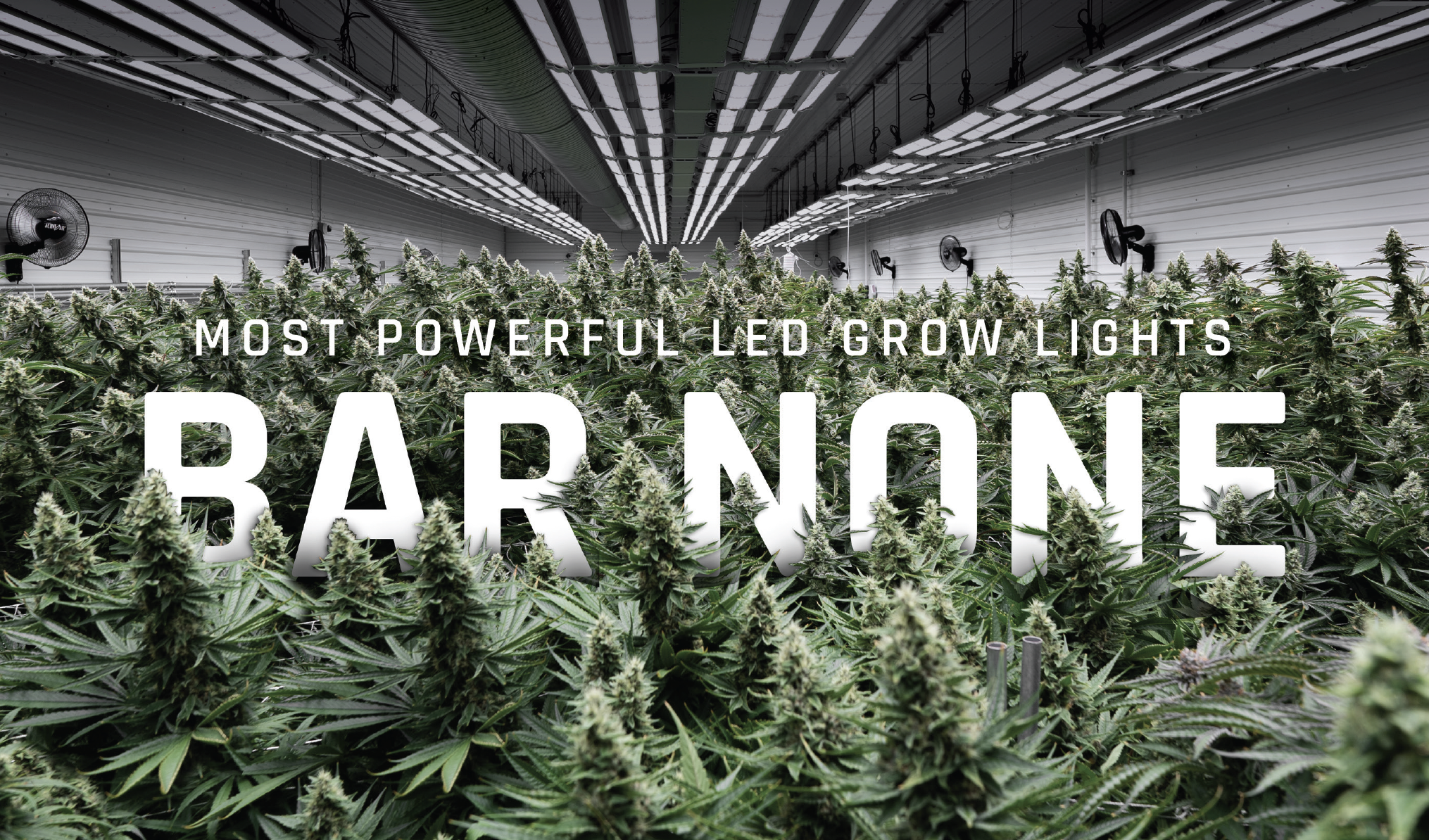 Fohse LED Grow Lights